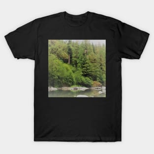 Granite Falls View T-Shirt